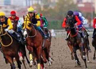 3 Aralık 2024 Adana Altılı Ganyan At Yarışı Sonuçları ve Analiz news-04122024-110422