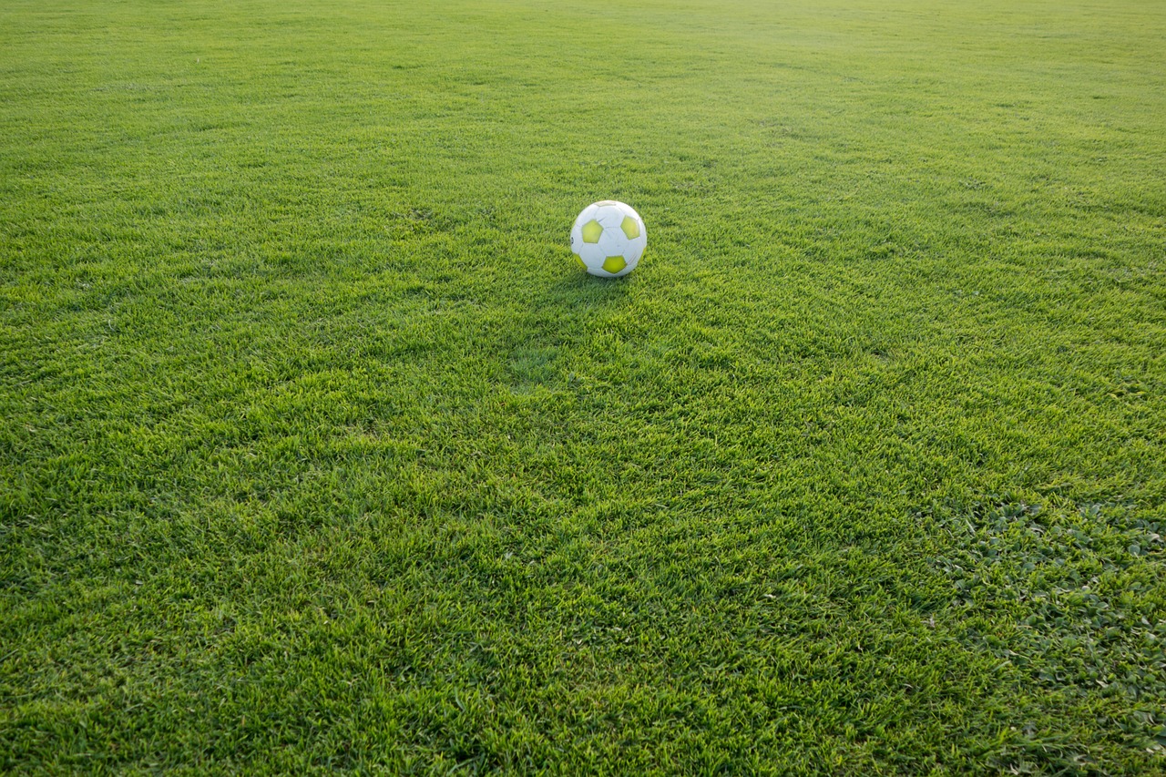 Finlandiya ve Türkiye Futbol Tarihçesi