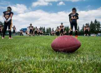 İzlanda – Türkiye Maç Sonuçları ve Maç İstatistikleri İzlanda - Türkiye Maç Sonuçları ve Maç İstatistikleri