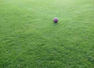 Portekiz – Türkiye Maç Sonuçları ve Maç İstatistikleri Portekiz - Türkiye Maç Sonuçları ve Maç İstatistikleri