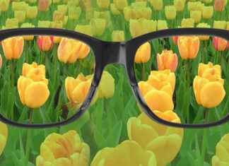 Renk Körlüğü Nedir? Nedenleri, Belirtileri ve Çözümleri renk körlüğü, renk körlüğü testi, renk körlüğü gözlüğü, renk körlüğü nedir, renk körlüğü lensi, renk körlüğü tedavisi, renk körlüğü çeşitleri